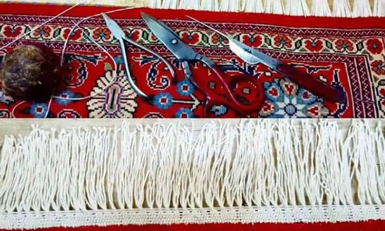 ریشه زنی (5)